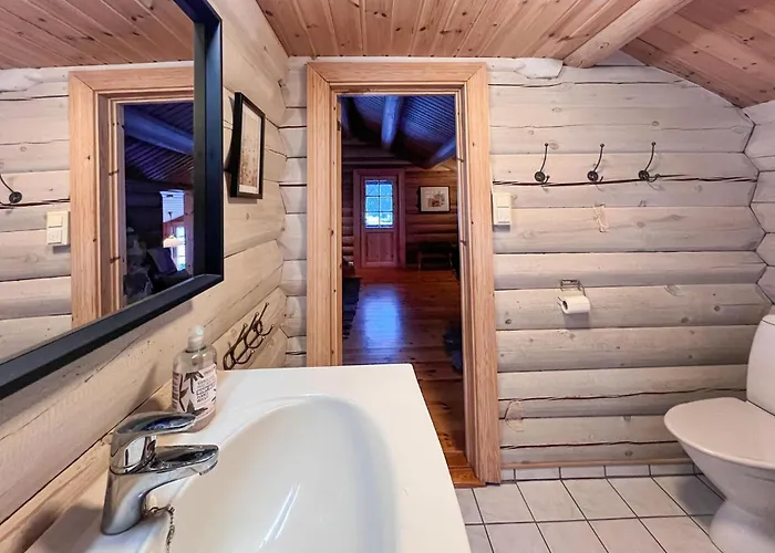 Front In With Wifi Dolemo